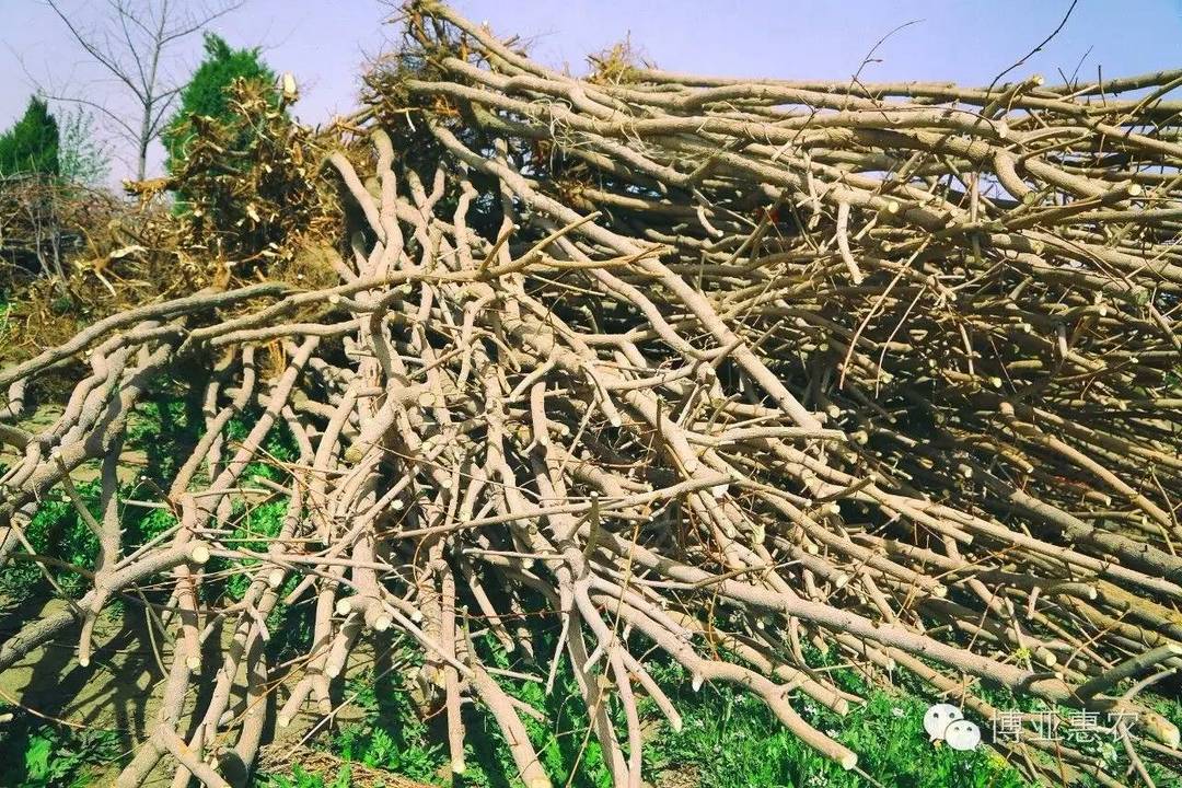 迎難而上 全力以赴 保障供應(yīng)