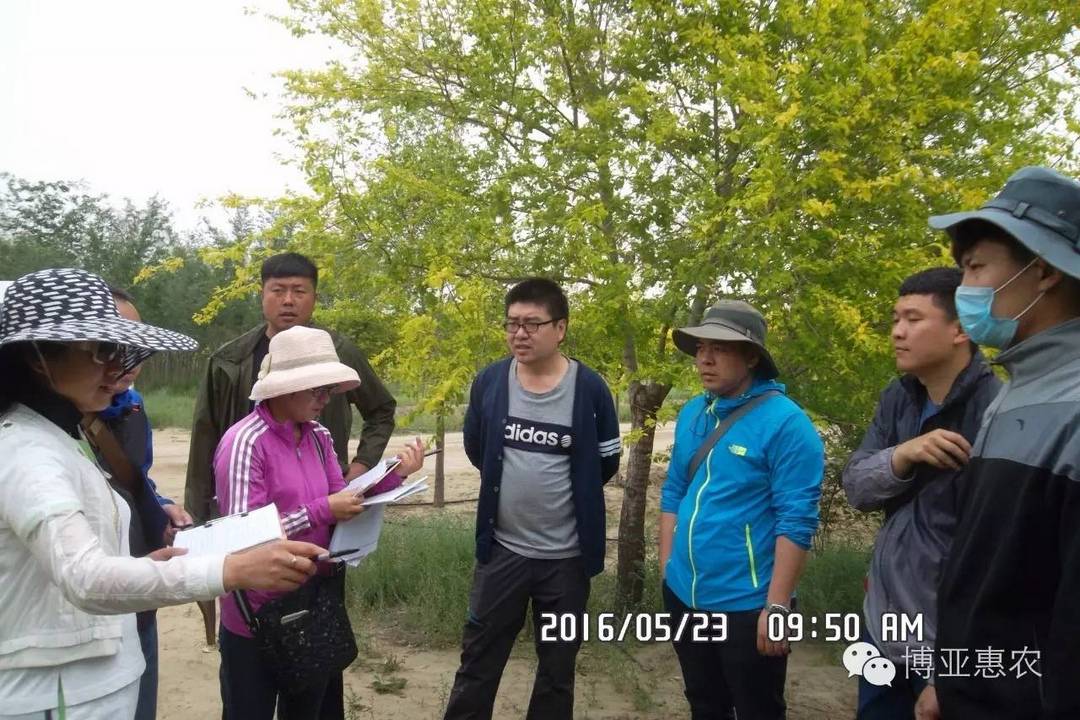 博亞惠農(nóng)：資產(chǎn)核查工作已經(jīng)鋪開