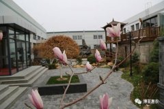 博亞惠農(nóng)|有你看不完的美景