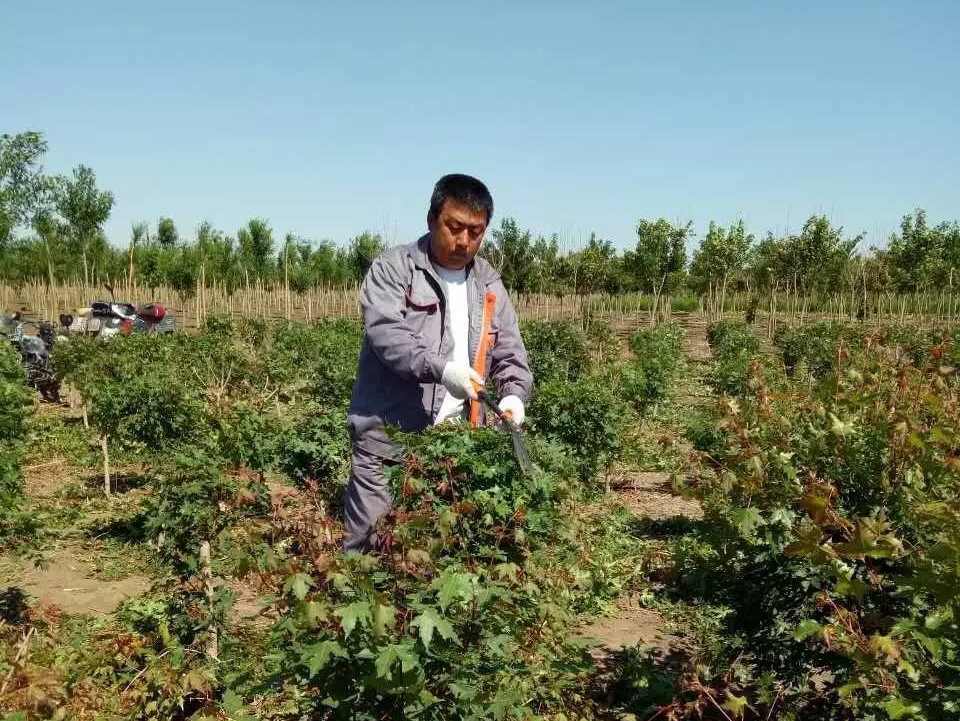 惠農(nóng)人物|優(yōu)秀員工——吳廣寧