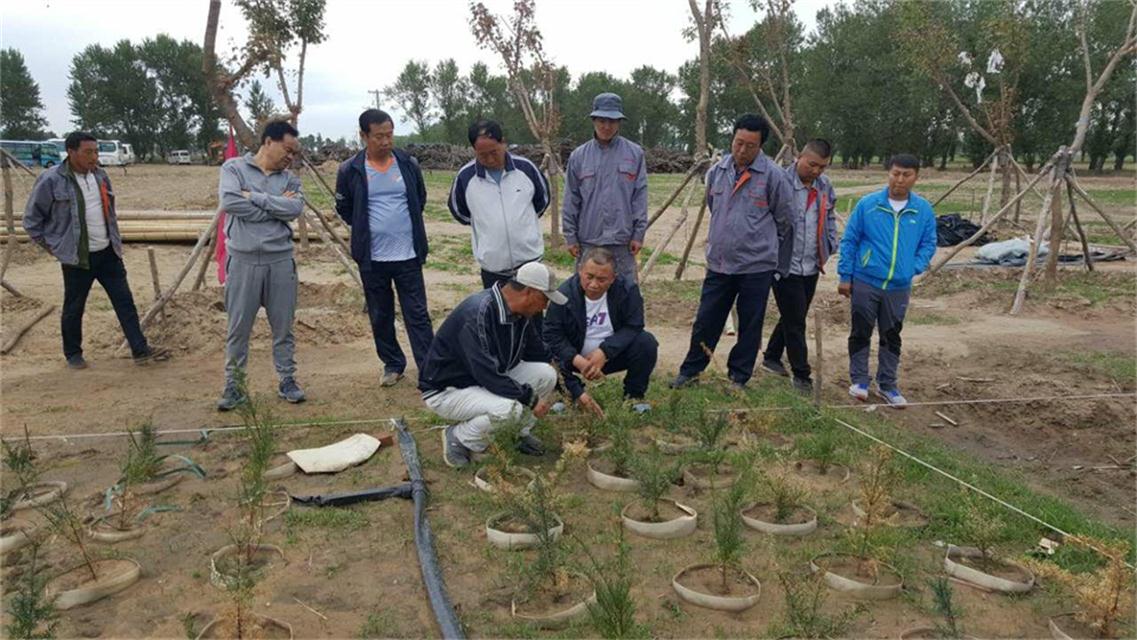 用實際行動詮釋新農(nóng)人本色