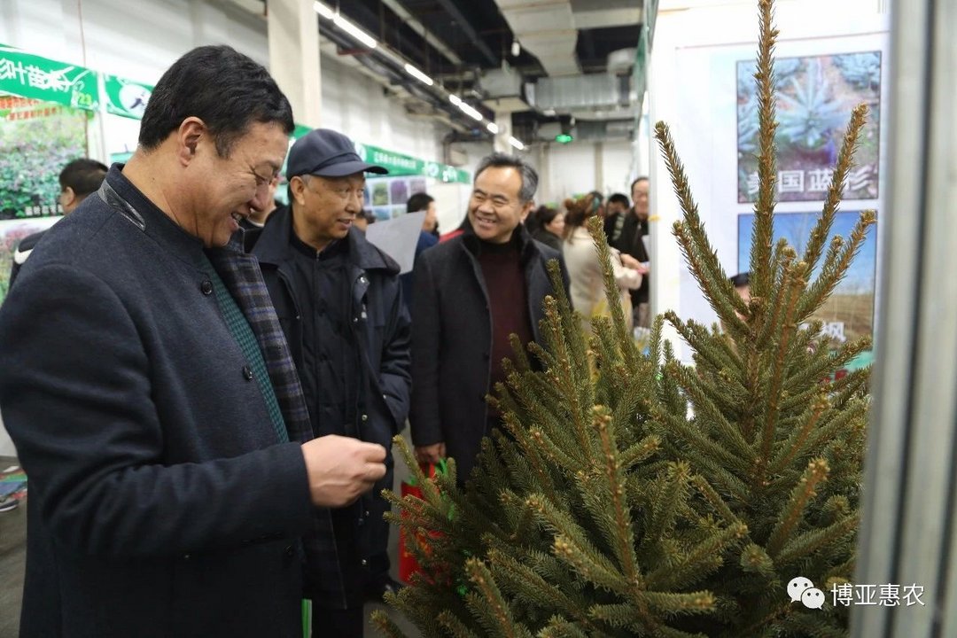 2018東北春季苗木交易會(huì)落幕 博亞惠農(nóng)展團(tuán)載譽(yù)而